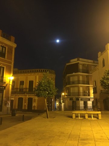 Pies de la Plaza (2)
